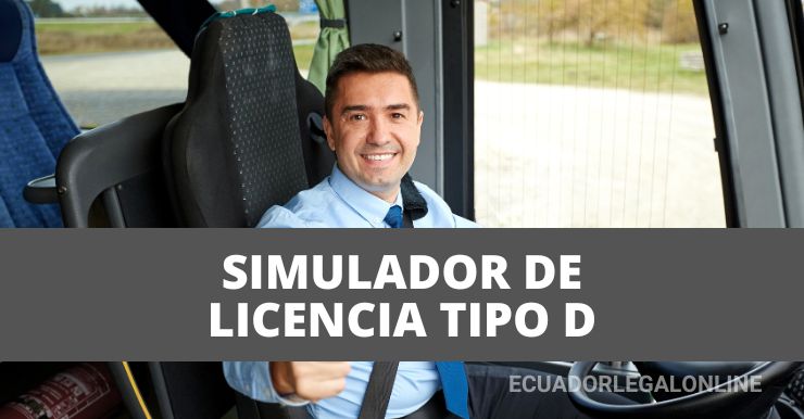 Simulador De Licencia Tipo D Ant