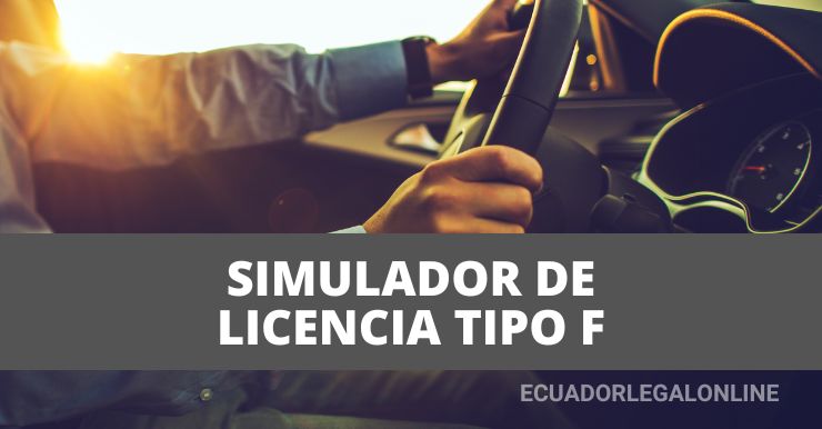 Simulador De Licencia Tipo F Ant