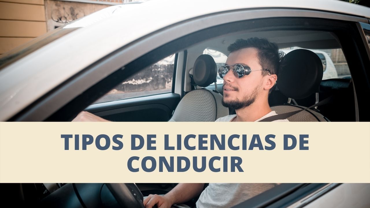 Tipos De Licencias De Conducir Y Categor As Agencia Nacional De Tr Nsito Ecuadorlegalonline