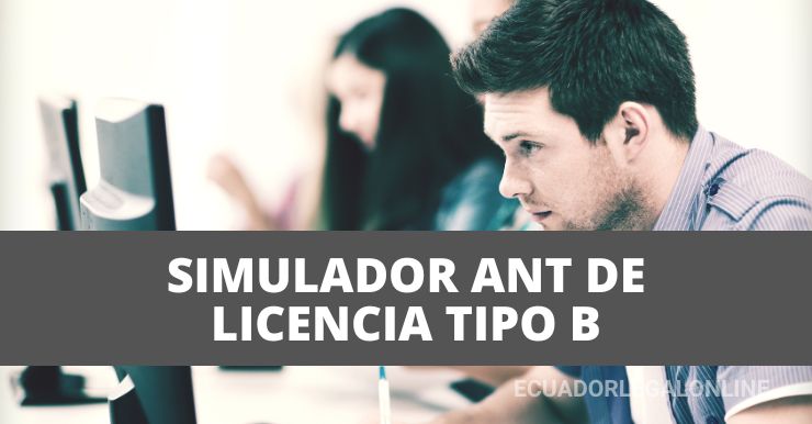 Simulador De Licencia Tipo B (2024) | ANT